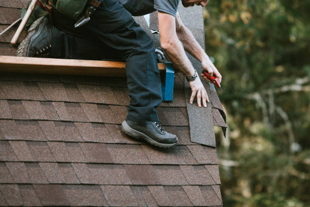 Best Roof Leak Repair  in De Smet, SD